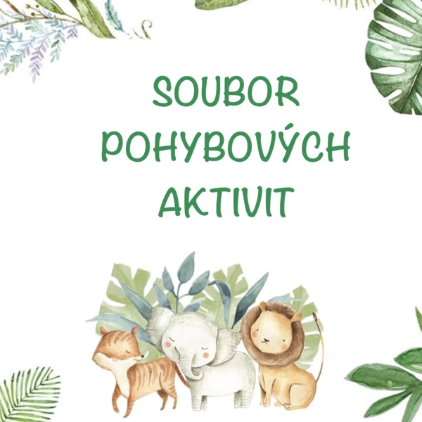 Soubor pohybových aktivit 1