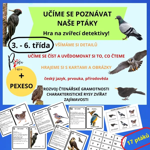 UČÍME SE POZNÁVAT NAŠE PTÁKY - aktivita mimo lavice - hra na zvířecí detektivy 1