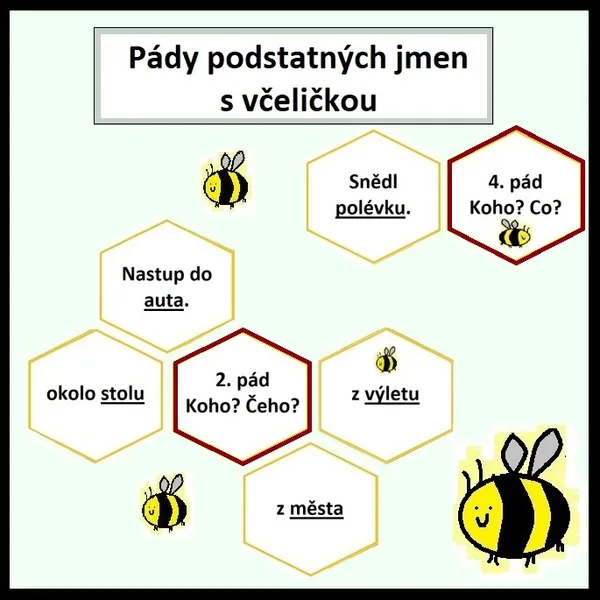Pády podstatných jmen s včeličkou 1