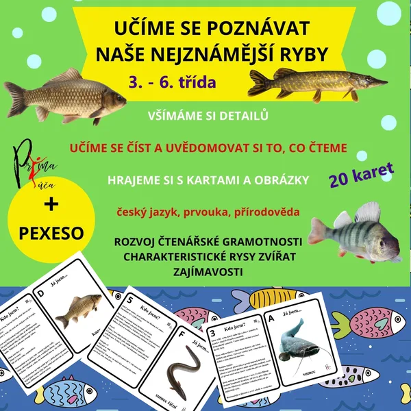 UČÍME SE POZNÁVAT NAŠE NEJZNÁMĚJŠÍ RYBY - aktivity mimo lavice, pexeso 1