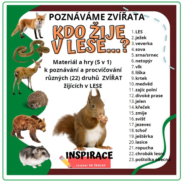Zvířata z našeho lesa 1