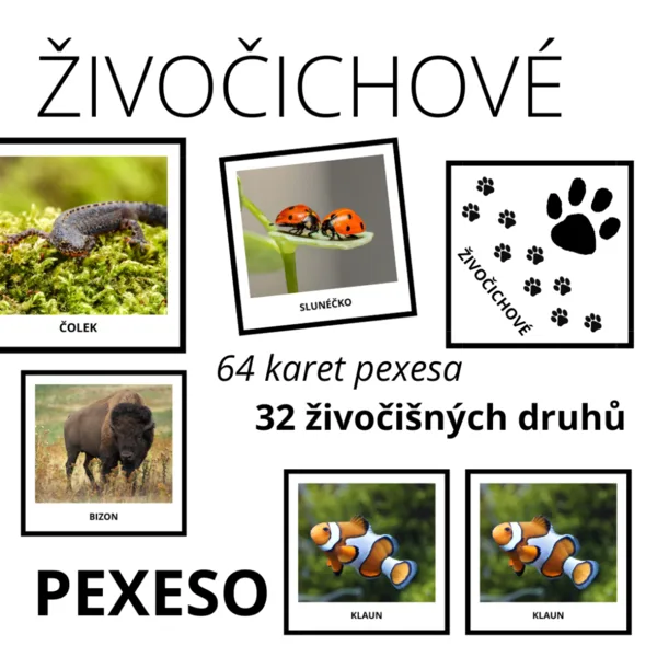 PEXESO - živočichové - 32 druhů 1