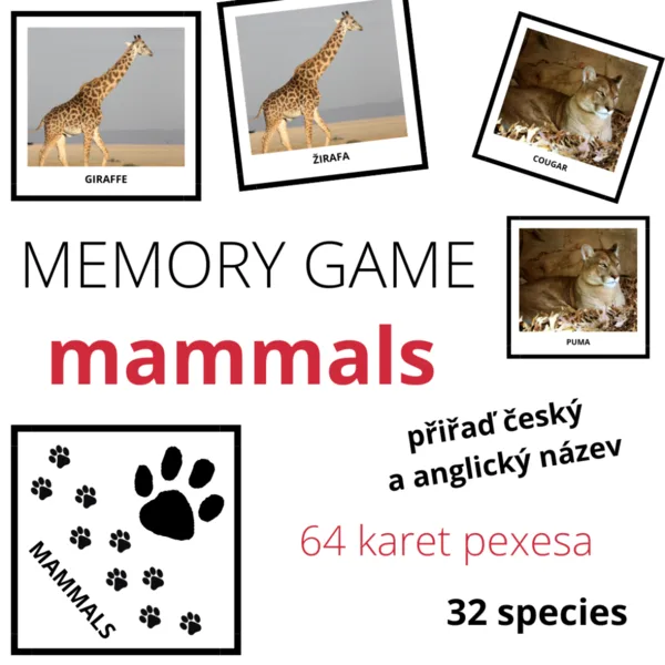 MAMMALS - memory game (32 species) 1