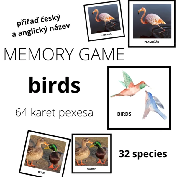 BIRDS - memory game (32 species) 1
