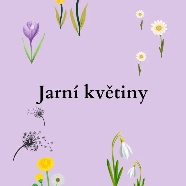 Jarní květiny 1