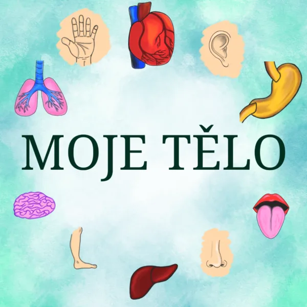 Moje tělo 1