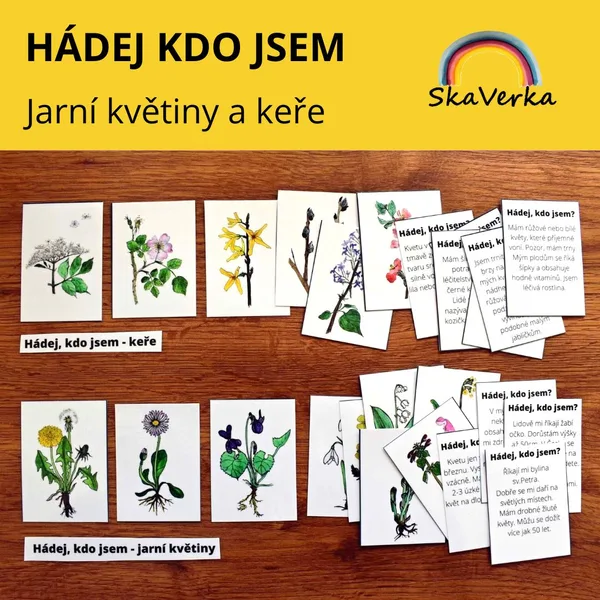 HÁDEJ KDO JSEM - jarní květiny a keře 1