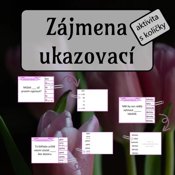 Ukazovací zájmena - aktivita s kolíčky 1