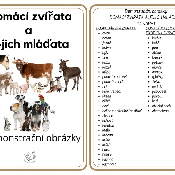 Domácí zvířata a jejich mláďata - demonstrační obrázky 1