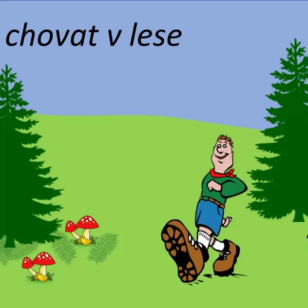 Jak se chovat v lese 1