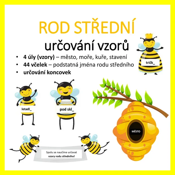 Rod STŘEDNÍ - určování vzorů 1