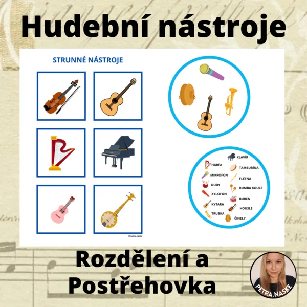Hudební nástroje - rozdělení a postřehovka 1