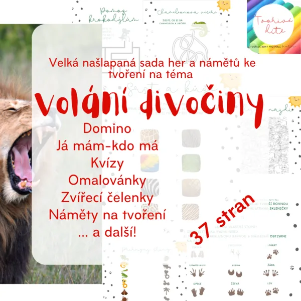 Volání divočiny - Velká sada her, kvízů a námětů ke tvoření 1