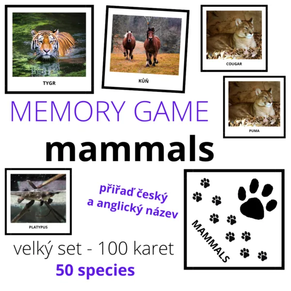 MAMMALS - memory game (pexeso) - big set (100 cards) 1
