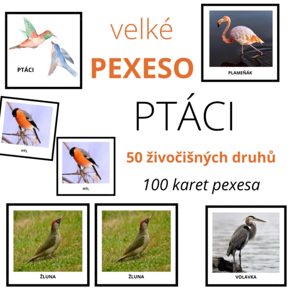 velké PEXESO - PTÁCI - 50 druhů 1