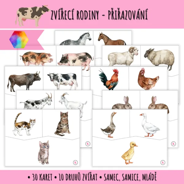 Zvířecí rodiny - přiřazovací karty 1