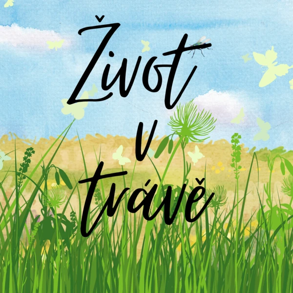 Život v trávě 1