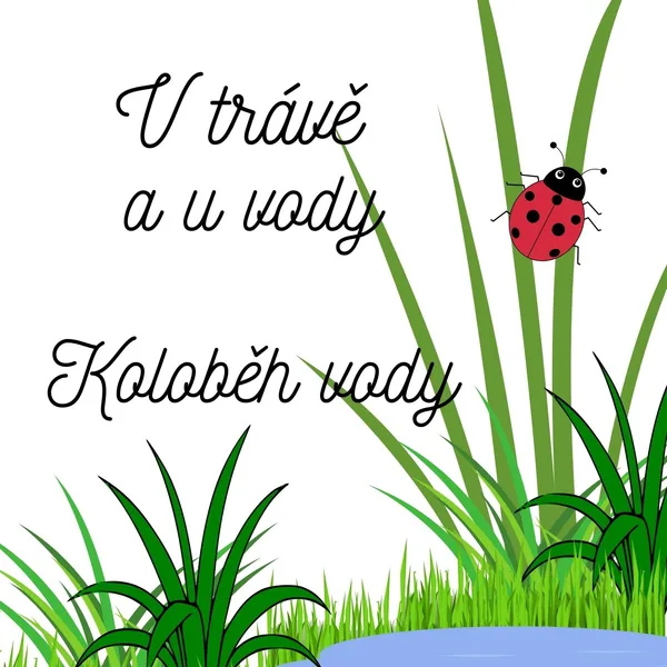 V trávě a u vody 1