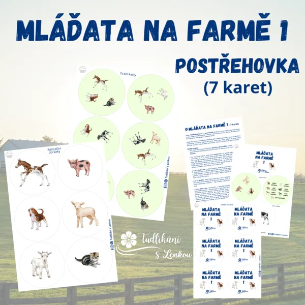 Mláďata na farmě 1 - postřehovka 1