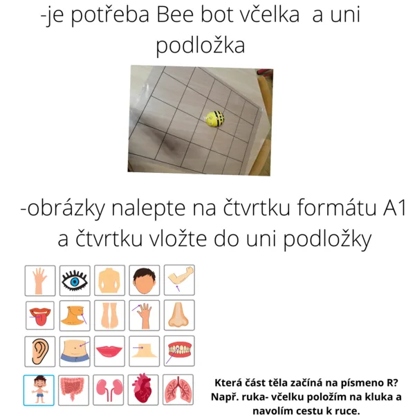Bee bot -LIDSKÉ TĚLO 1