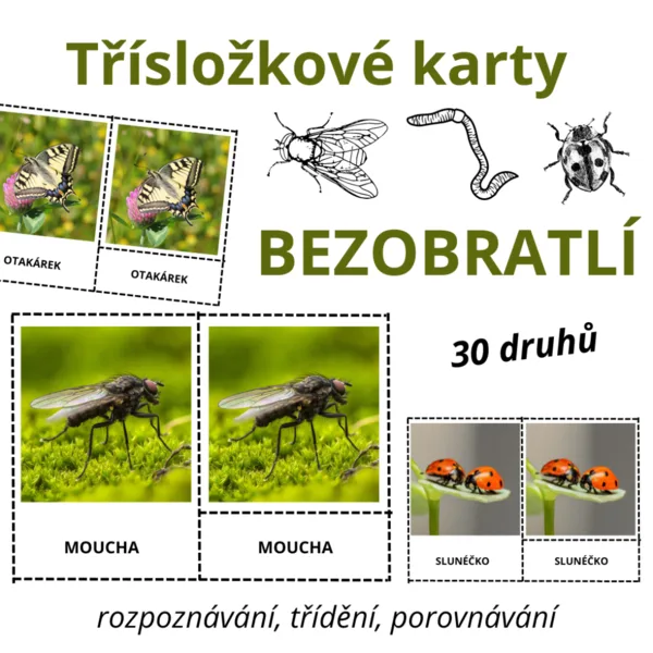 Třísložkové karty - BEZOBRATLÍ (30 druhů) 1