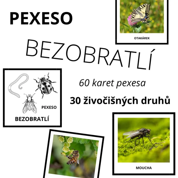 PEXESO - BEZOBRATLÍ (30 druhů) 1