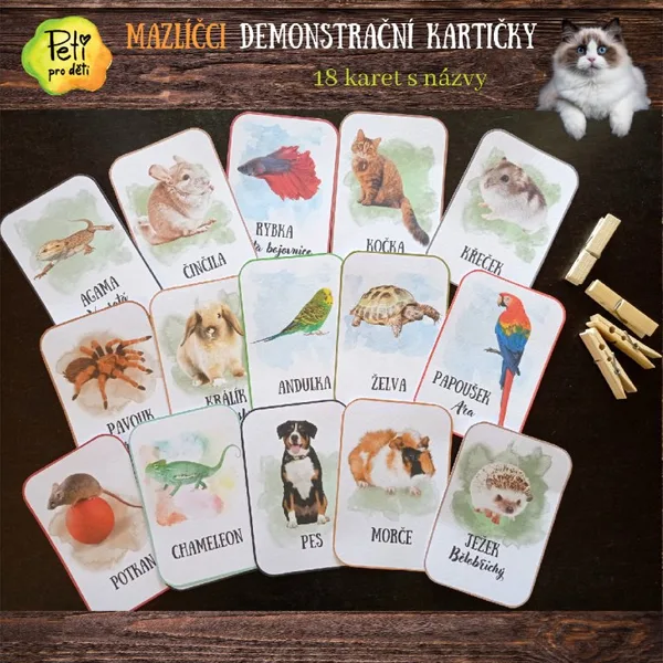 Demonstrační kartičky Mazlíčci 1