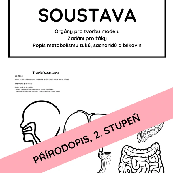 Trávicí soustava a metabolismus - tvorba modelu 1