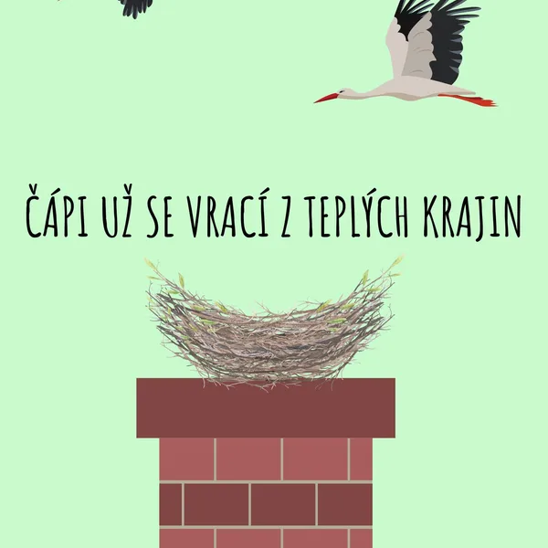 Čáp už se vrací z teplých krajin 1
