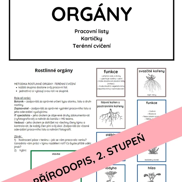 Rostlinné orgány - kořen, stonek, list 1