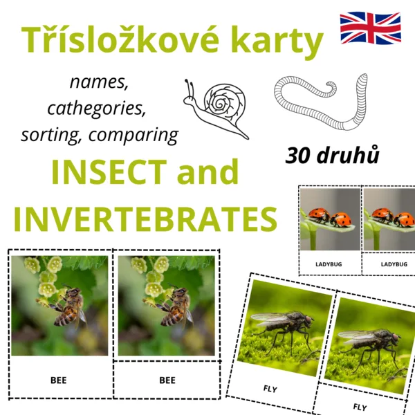 ANGLICKÉ Třísložkové karty - INVERTEBRATES (30 druhů) 1
