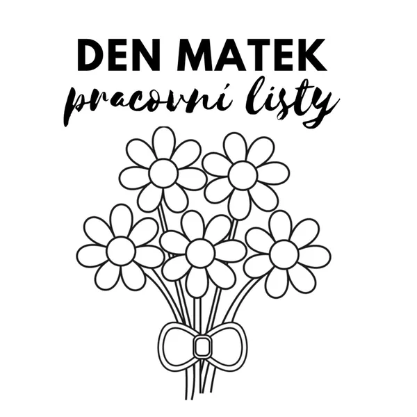 Den matek 1
