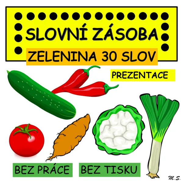 Slovní zásoba v prezentaci - ZELENINA / VEGETABLES - žádný tisk a laminování 1