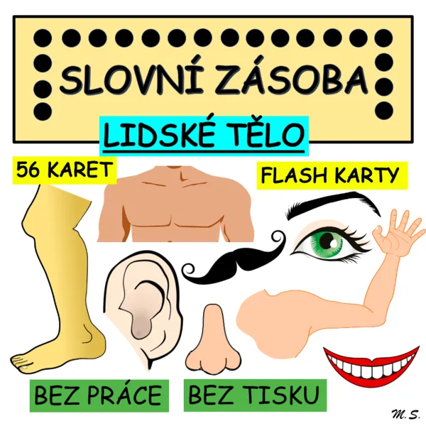 BODY - flashcards / LIDSKÉ TĚLO - flash karty 1
