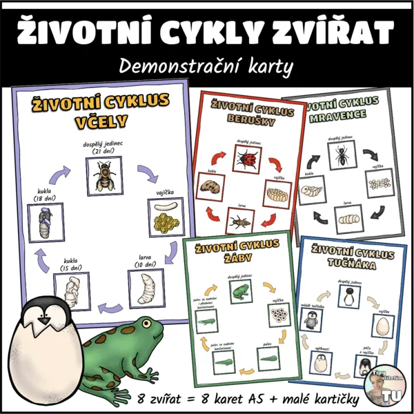 Životní cykly zvířat - demonstrační karty 1