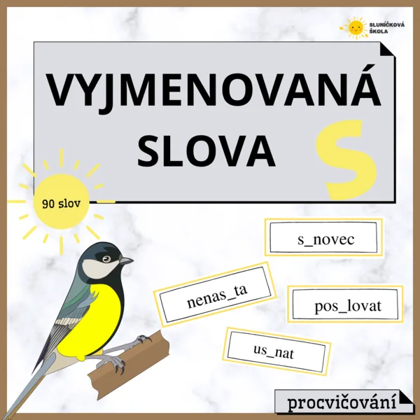 Vyjmenovaná slova po S - procvičování 1