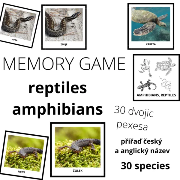 AMPHIBIANS, REPTILES - memory game (30 species) 1