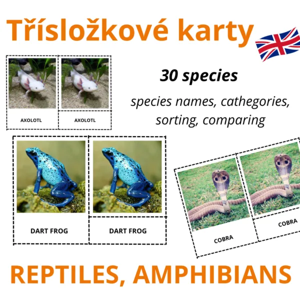 ANGLICKÉ Třísložkové karty - REPTILES, AMPHIBIANS (30 druhů) 1