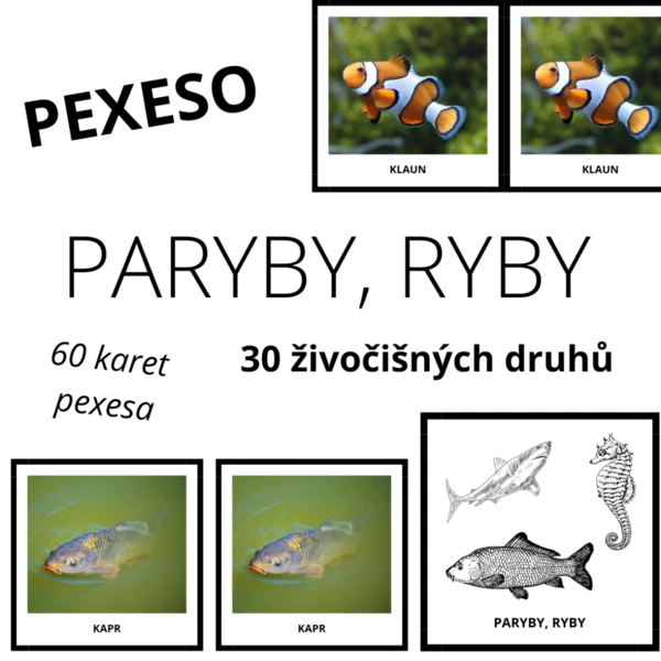 PARYBY, RYBY - pexeso (30 druhů) 1