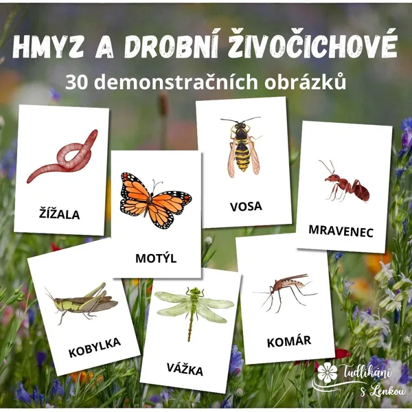 Hmyz a drobní živočichové - 30 demonstračních obrázků 1