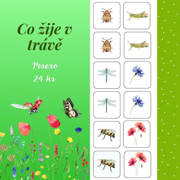 Co žije v trávě - Pexeso 1