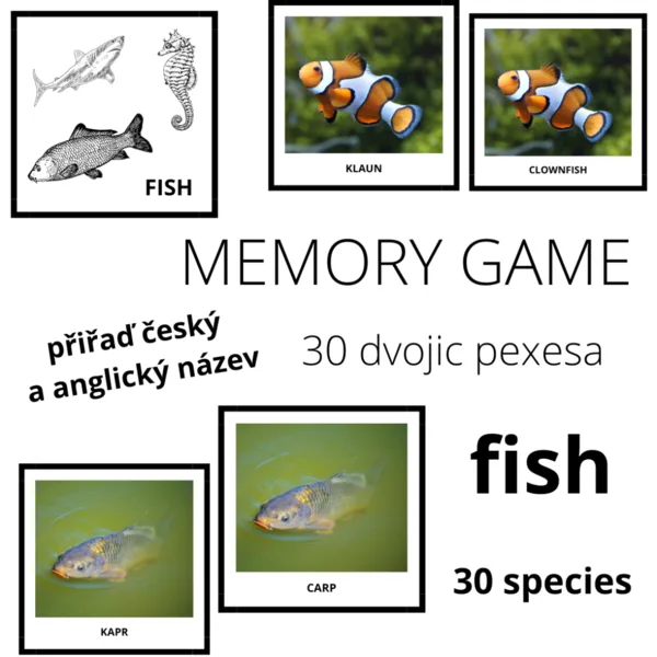 FISH - memory game (30 species) 1