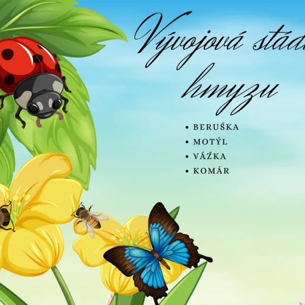 Vývoj hmyzu - obrázky 1