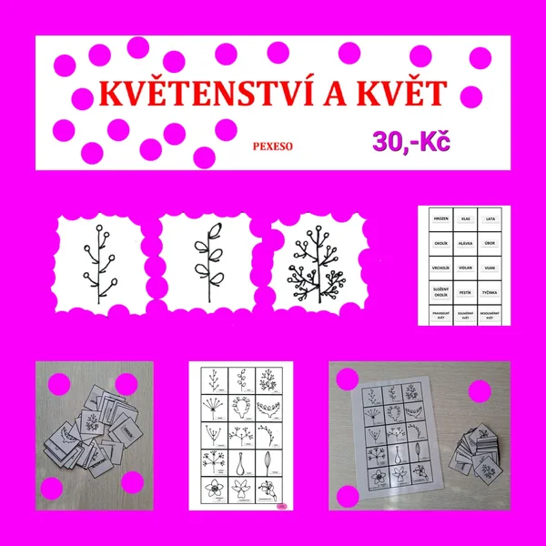 KVĚTENSTVÍ A KVĚT 1