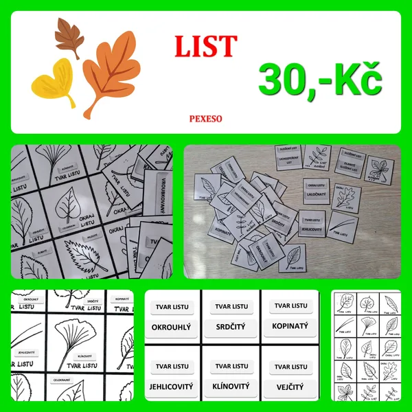 LIST 1