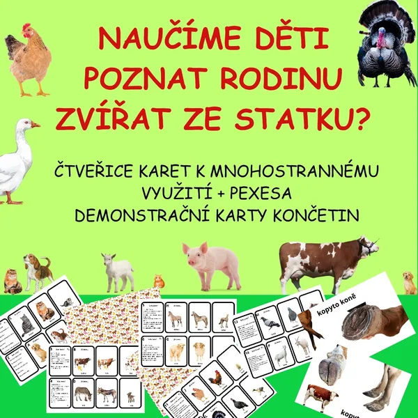 POZNÁVAČKA RODIN ZVÍŘAT - NĚKOLIK AKTIVIT 1