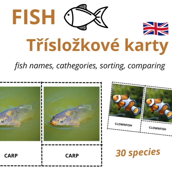 ANGLICKÉ Třísložkové karty - FISH (30 druhů) 1
