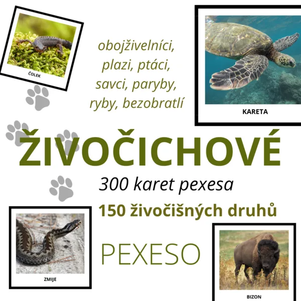 ŽIVOČICHOVÉ - pexeso (sada 150 druhů) - 300 ks pexesa 1