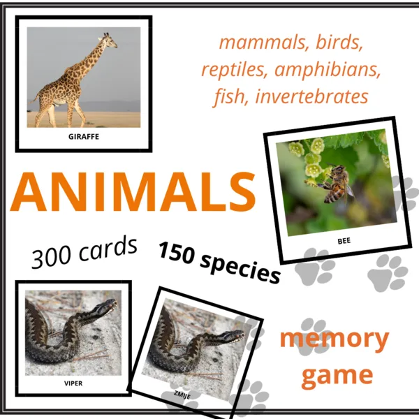 ANIMALS - memory game (150 species, 300 cards) 1
