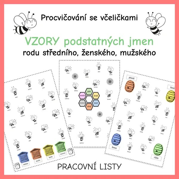 Vzory podstatných jmen se včelkami 1